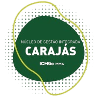 Logo Conecta Igreja